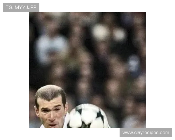 齐达内足球影响力 齐达内足球影响力