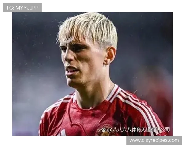 加纳乔在阿根廷国家队的定位解析